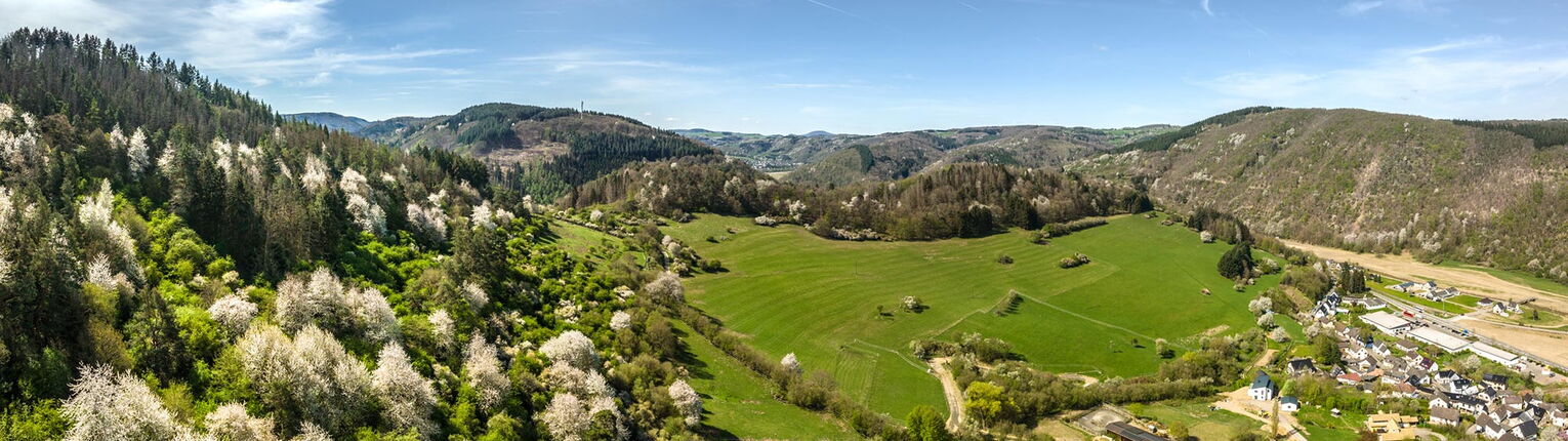Landschaftsbild Ahrbrück
