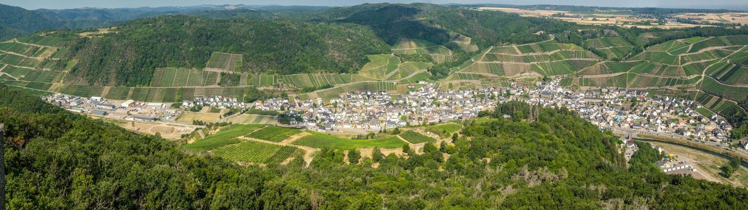 Landschaftsbild Dernau