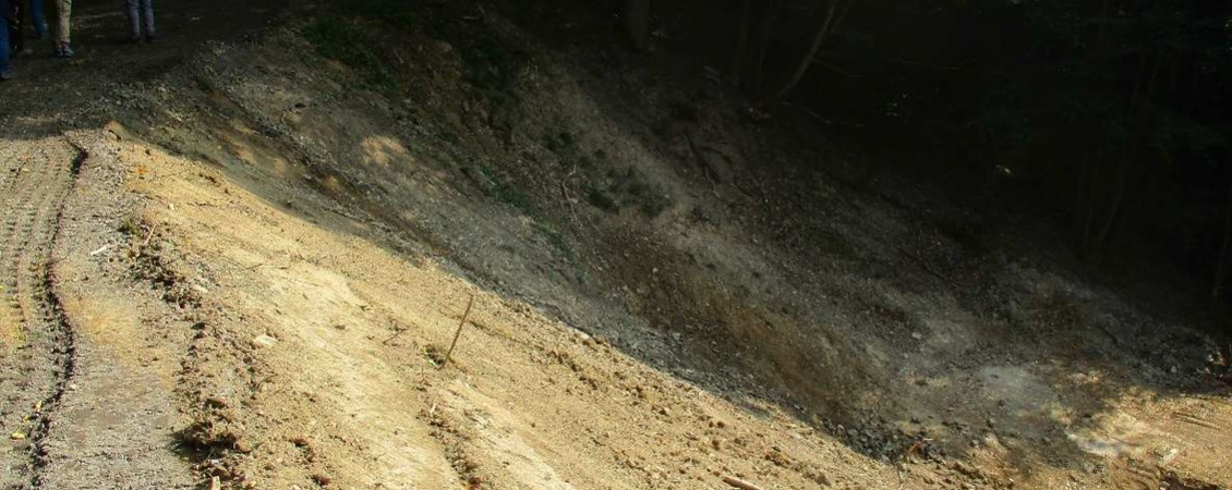 Hangrutsch in der OG Lind