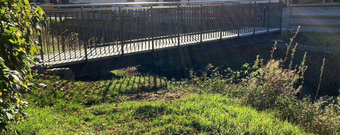 Fußgängerbrücke Sahrbach 1