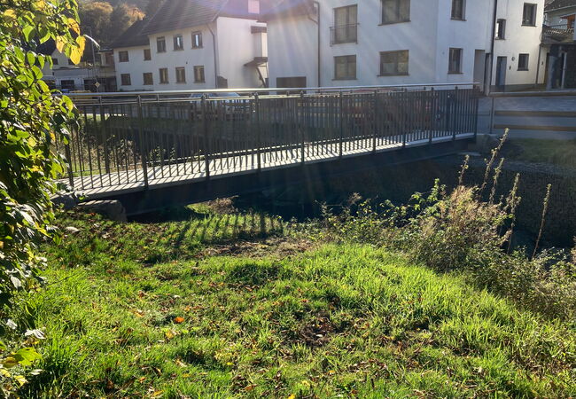 Fußgängerbrücke Sahrbach 1