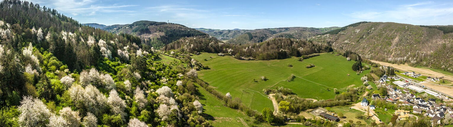 Landschaftsbild Ahrbrück