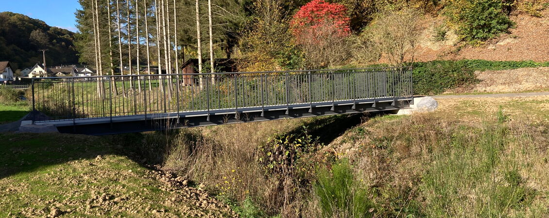 Fußgängerbrücke Sahrbach 2