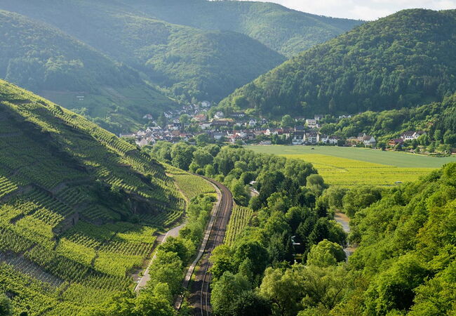 Landschaftsbild Rech